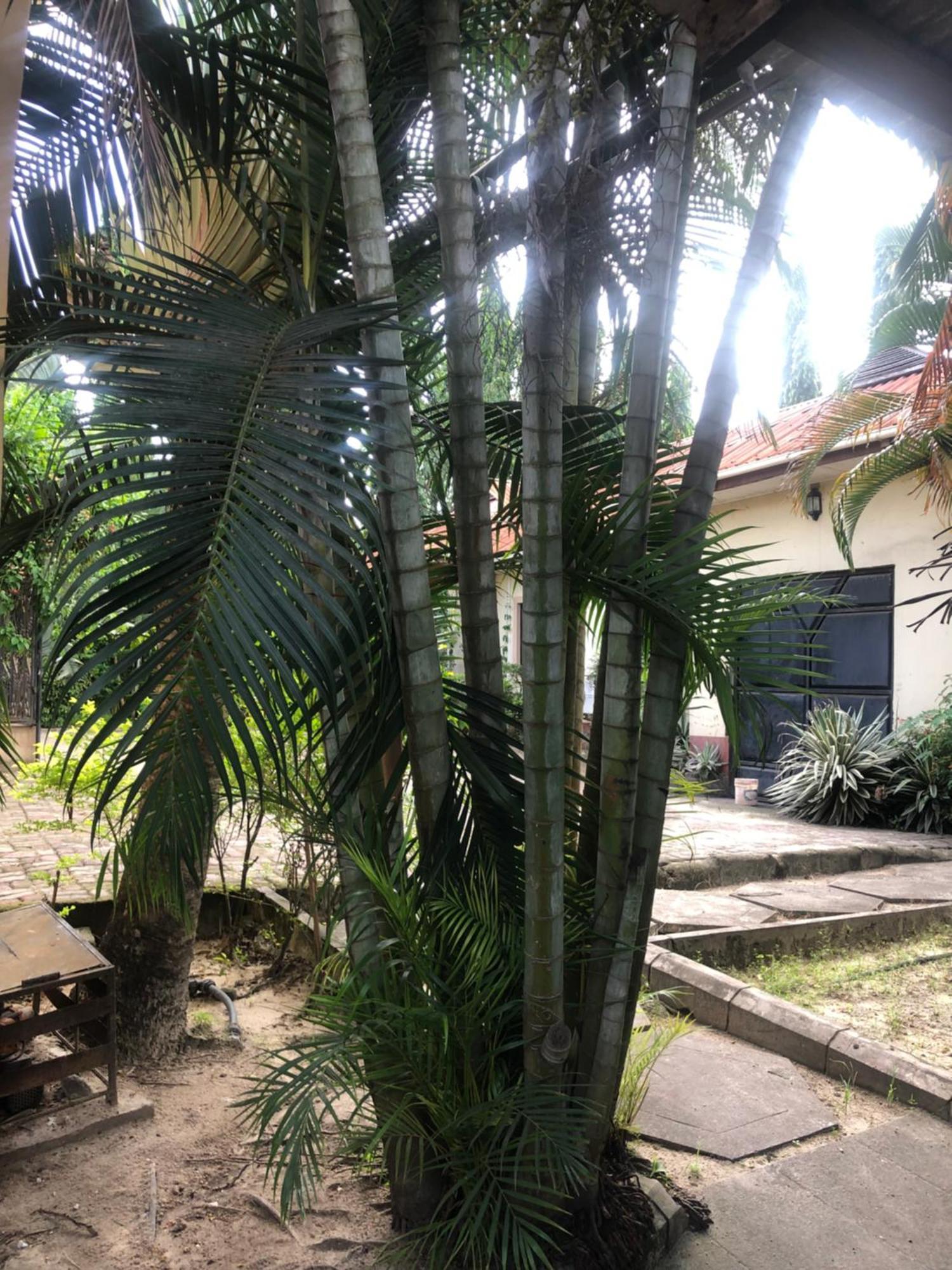 Tatys homestay Dar es Salaam Luaran gambar